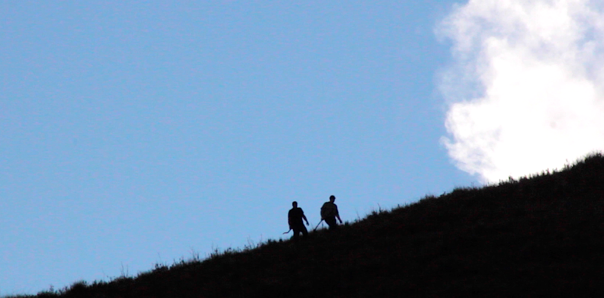 TigerLand - The Search